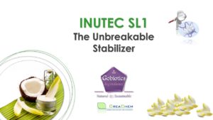 Inutec SL 1 - webinar cover